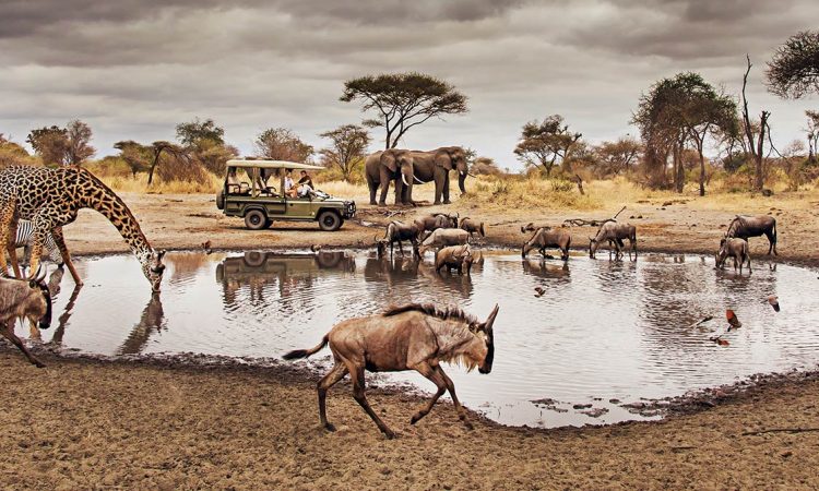 african-safari-tanzania